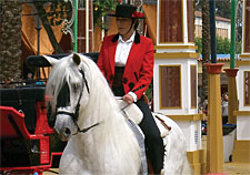 Spain-Southern Spain-Feria del Caballo - Jerez